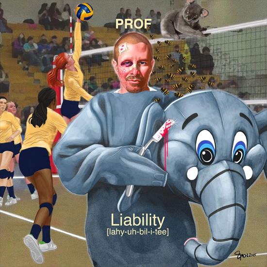Prof - Liability 2015 iTunes - cover1.jpg
