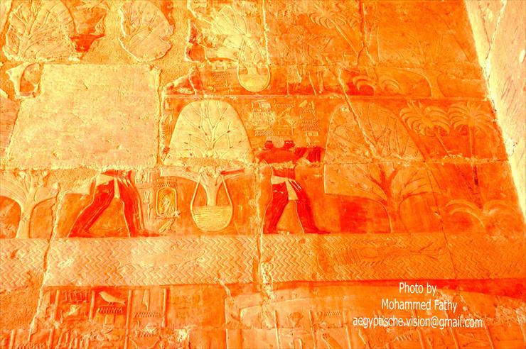 Świątynia w Hatshepsut - Świątynia w Hatshepsut 147.jpg