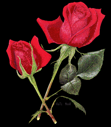 gifowe - kwiat-czerwona1.gif