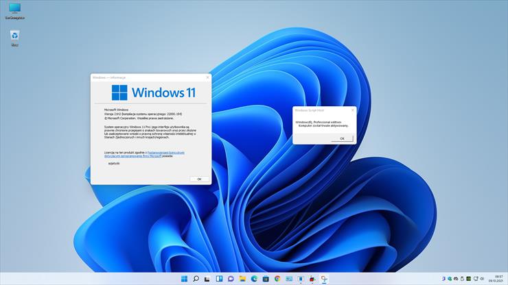 W 11 Pro PL Windows 11 23H2 No TPM, No SecureBoot MARZEC 2024 x64 PL - WIN 11 INSTALL.png